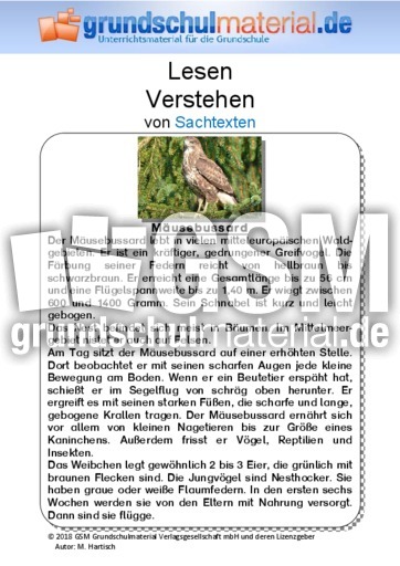 Mäusebussard - Sachtext.pdf